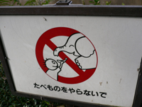 wphoto05nov4 032.JPG